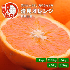訳あり 清見オレンジ 1kg～10kg 送料無料 和歌山産 清見タンゴール 柑橘 産地直送 家庭用