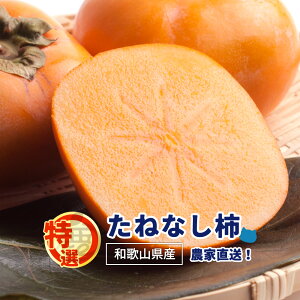 y\z I ˂Ȃ` \10{`y a̎R Y  1kg 2.5kg 5kg 7.5kg 10kg  TCY Ȃ ` t[c Ȃ ` t[c Y _ƒ H  Mtg z