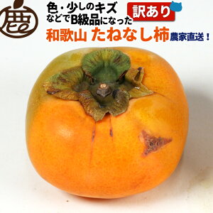 5ISi|Cg5{I y\z 󂠂 ˂Ȃ`  1kg 2kg 3kg y KS  TCY a̎R Y Ȃ ` t[c Y _ƒ H  z