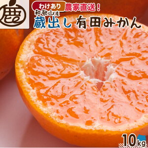 y\z 󂠂 n Lc ݂ \2026N1{ a̎RY 1kg`10kg  ƒp B݂ o Yn