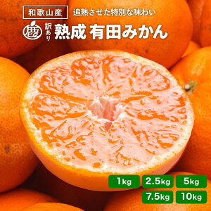 y\z 󂠂 n Lc ݂ \2026N1{ a̎RY 1kg`10kg  ƒp B݂ o Yn