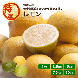 I  a̎RY  1kg 2.5kg 5kg 7.5kg 10kg Y Mtg hܕsgp WAXsgp _ƒ }C[ A[J Ȃ