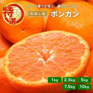 y\z I |J a̎R 2026N1{\ 1kg`10kg  t[c ݂ ۂ񂩂 ʕ Yn  Mtg