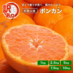 y\z󂠂 |J a̎R 1kg 2.5kg 5kg 7.5kg 10kg 2026N1{\ Y  ƒp  Yn