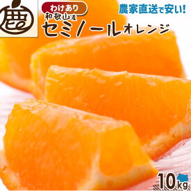 [わけあり] セミノールオレンジ 10kg 【 送料無料 KS 訳あり セミノール オレンジ ジュース 和歌山 みかん 柑橘 産地直送 大容量 】