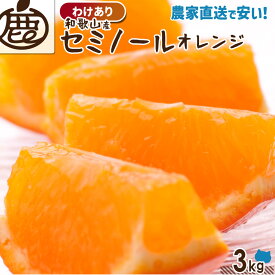 [わけあり] セミノールオレンジ 3kg 【 送料無料 KS 訳あり セミノール オレンジ ジュース 和歌山 みかん 柑橘 産地直送 】