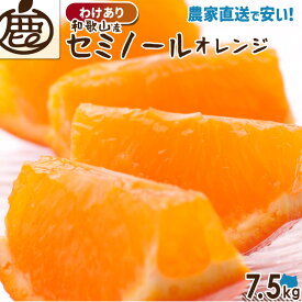 [わけあり] セミノールオレンジ 7.5kg 【 送料無料 KS 訳あり セミノール オレンジ ジュース 和歌山 みかん 柑橘 産地直送 】