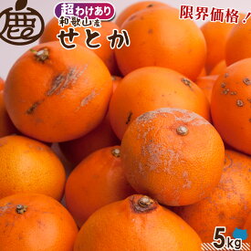 [超わけあり] せとか 5kg 【 KS ロットA 送料無料 サイズ混合 規格外 超訳あり 訳あり お買い得 加工用 和歌山 みかん 柑橘 フルーツ 産直 農家直送 】