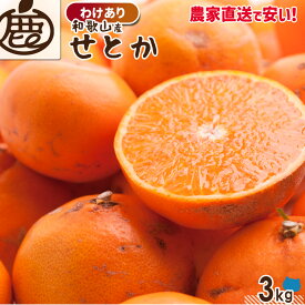 [わけあり] せとか 3kg 【 KS 送料無料 訳あり お得 家庭用 和歌山 みかん 柑橘 フルーツ 産直 農家直送 】