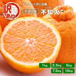 y\z󂠂 sm \2026N2 fR| Ɠi킵ʂ 1kg 2.5kg 5kg 7.5kg 10kg  Y  ƒp  Yn ʂ