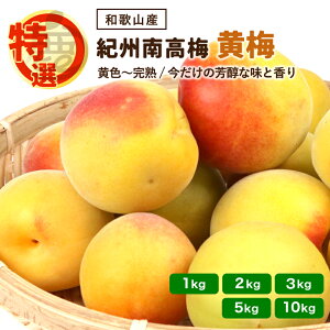 ���i�摜