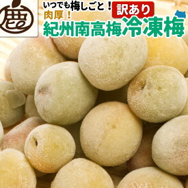 訳あり 紀州 南高梅 冷凍梅 【 送料無料 和歌山産 産直 冷凍 青梅 黄梅 完熟一歩手前 梅酒の梅 梅酒用 ジャム シロップ ジュース 直送 】