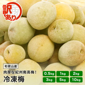＼20%OFFセール!／ 訳あり 紀州 南高梅 冷凍梅 0.5kg ～ 10kg 送料無料 和歌山産 産直 冷凍 青梅 黄梅 完熟一歩手前 梅酒の梅 梅酒用 ジャム シロップ ジュース 直送