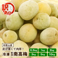 訳あり 紀州 南高梅 冷凍梅 0.5kg ～ 10kg 送料無料 和歌山産 産直 冷凍 青梅 黄梅 完熟一歩手前 梅酒の…