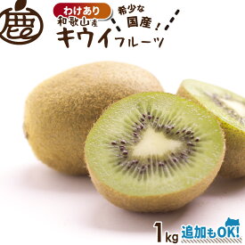 [わけあり] キウイフルーツ 1kg 【 送料無料 KS 訳あり お得 国産キウイ 和歌山 産地直送 便秘対策 食物繊維 朝ごはん デザート ヘルシー 2kg 3kg 4kg 5kg 】