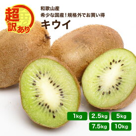 ＼国産 で人気！／超 訳あり キウイフルーツ 和歌山産 1kg ～ 10kg 送料無料 訳あり 規格外 お得 産地直送 食物繊維たっぷり 便秘対策 朝ごはん デザート