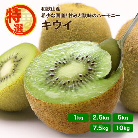 発送開始！ 特選 キウイフルーツ 発送予定11月中旬頃 1kg 2.5kg 5kg 7.5kg 10kg 【 送料無料 KS 国産キウイ 和歌山 産地直送 便秘対策 食物繊維 お取り寄せ グルメ 朝ごはん デザート ヘルシー 】