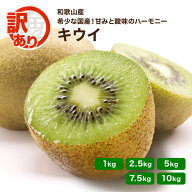 【予約】訳あり キウイフルーツ 和歌山産 1kg ～ 10kg 送料無料 お得なわけあり 産地直送 食物繊維たっぷ…