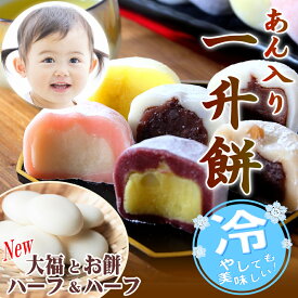 冷やして美味しい！あん入り一升餅・名入れ無料★あんこ・あん餅・小分け★1歳お誕生日(御祝)★背負い餅・一生餅★プレゼント付★一升餅（1升餅）セット　米