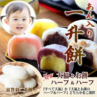 あん入り一升餅・名入れ無料★あんこ・あん餅・小分け★1歳お誕生日(御祝)★背負い餅・一生餅★プレゼン…