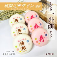 名入れ一升餅セット【丸型6個】★北海道・沖縄県への配送は送料一部1,000円加算★最高級の滋賀羽二重もち…
