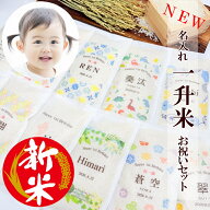 【新米★令和8年産入荷★】一升米セット★小分け＆名入れ無料★滋賀県産こしひかり★送料込み(送料無料)…