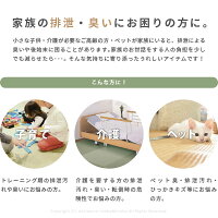 消臭機能付き洗えるトイレマット極美爽約65×60cmい草風畳調マット洗えるマット便所マットグリーン洋式トイレマット和風和モダン介護保育オムツトレーニング子供キッズ