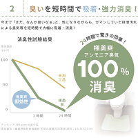 消臭機能付き洗えるトイレマット極美爽約65×60cmい草風畳調マット洗えるマット便所マットグリーン洋式トイレマット和風和モダン介護保育オムツトレーニング子供キッズ