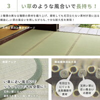 消臭機能付き洗えるトイレマット極美爽約65×60cmい草風畳調マット洗えるマット便所マットグリーン洋式トイレマット和風和モダン介護保育オムツトレーニング子供キッズ