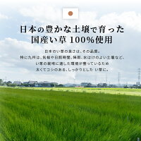 【日本製・和モダン・アジアン・シンプル・爽やか】国産い草ラグカーペット・絨毯・敷物・マット・寝ござ風水約191×250cm【裏貼有】