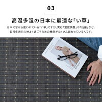 国産い草ラグ和モダンカーペット和風敷物風水約191×250cm【約3畳】【裏貼有【長方形】【送料無料】和室日本製純国産い草ラグカーペット絨毯夏用ラグ夏ラグ【新生活応援ポイント5倍★05P01Apr16】