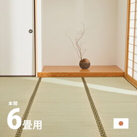 【4/24夜8時～10％OFFクーポン配布中】い草上敷き 国産 琥珀 約286×382cm 【本間6畳】6帖 引目織り 丈夫 長持ち 和風 和室 抗カビ 消臭 ござ い草カーペット ラグ 畳の上に敷くもの 和風敷物 井草 いぐさ 関西間 京間 六三間 6