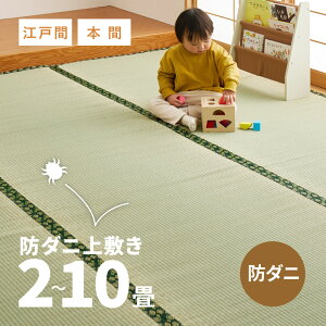 y5X|Cg8{zz~ h_j m O[ ΃t`y2E3E4E4.5E6E8E10zy]ˊԁE{ԁz oڐD q _jAM[ a a n R