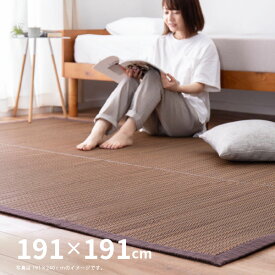 【5％OFFクーポン配布中・4/27/9:59まで】い草ラグ 南風 約191×191cm 【約2.5畳】 【裏貼有】 ブラウン ネイビーブルー アジアン 和モダン おしゃれ カーペット 井草 イグサ いぐさ 萩原 春夏秋冬用