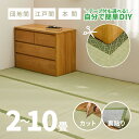 【週末8日・9日★5％クーポン有】自分で切れる 裏貼り い草上敷き HG グリーン 緑【1畳・2畳・3畳・4.5畳・6畳・8畳・10畳】【江戸間・本間・団地間】帖 フリーカット上敷き 敷物 和室 ござ ゴザ い草カーペット フローリング DIY 裏張り