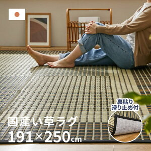 Y O hRy\z 191×250cmy3z{3 ~߉H R hL J[ybg O}bg Z^[O ANZgO  䑐  tďH~p Ђ 