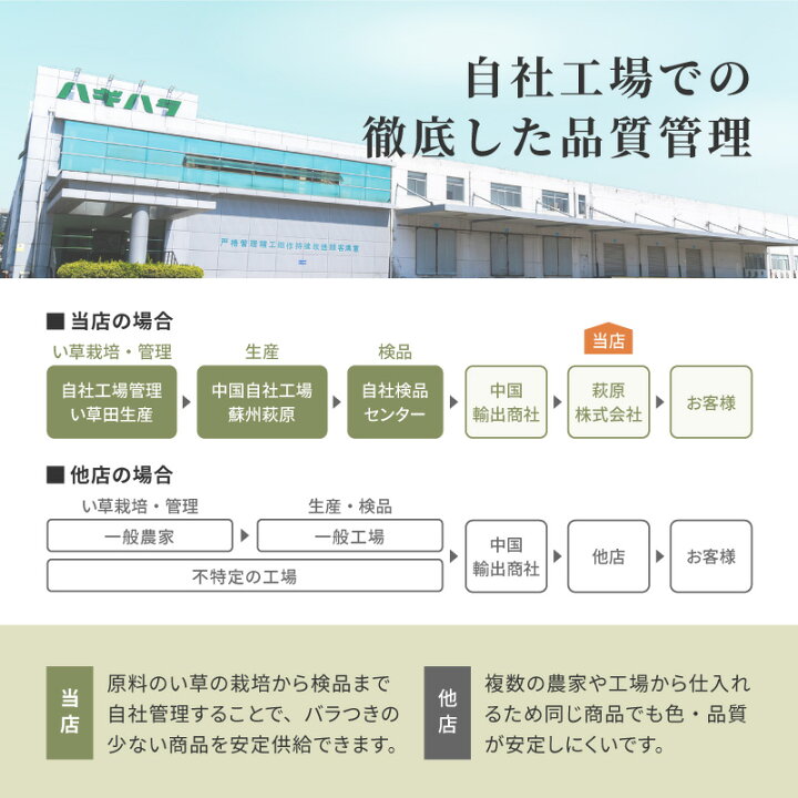 楽天市場 い草ポコポコテレビ枕 南風 約40 100 cm 抗菌 防臭 ブラウン アジアン 和モダン おしゃれ 夏用枕 敬老の日 ギフト プレゼント 実用的 おもしろグッズ 井草 イグサ いぐさ 萩原 四季物ひろば