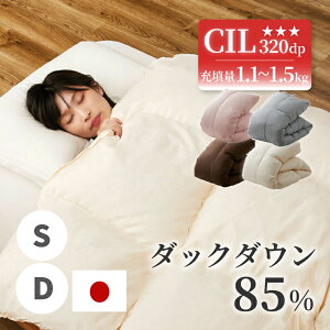 yubNtCf[5N[|Lz{ Hѕzc 20}X 25}X ̃Lg zCg_bN_E 85 R 320dpȏ [U 1.1kg 1.5kg H zc |zc ~ y g |zc V