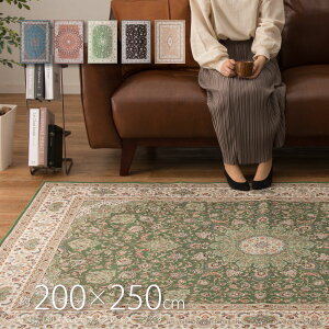 yubNtCf[5N[|LzO J[ybg   ]ʃvg^[RCY vVA pX CrC uO 200×250cmy3z m GKg   J[ybg I[