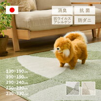 楽天市場】ループパイル ラグ グリーンの通販