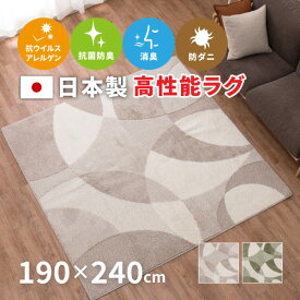 【4/25夜8時～5％OFFクーポン配布中】ラグ 日本製 国産 モダン タフトジャスト 約190×240cm 【約3畳】 日本製 カーペット モダン柄 防ダニ 抗菌 抗ウィルス 消臭 おしゃれ 北欧 国産 ベージュ グリーン 床暖房 オールシーズン 年中