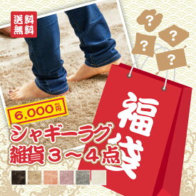 【先着20セット限定・福袋・赤】無地のシャギーラグ1点+インテリア雑貨3〜4点入りセット 洗濯機で洗えるラグ カミン インテリア 2025年 2026年