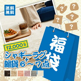 【先着20セット限定・福袋・青】無地シャギーラグ1点+インテリア雑貨6〜7点入りセット 洗濯機で洗えるラグ カミン インテリア 2025年 2026年