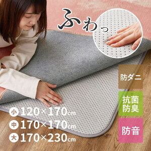 ラグの下に敷くラグ アンダーラグ ラグ 下敷き【約1畳/2畳/3畳】【約120×170cm/170×170cm/170×230cm】 帖 カーペット 帝人 両面滑り止め付き ウレタン入り 防音 防ダニ 抗菌 ホットカーペット対応