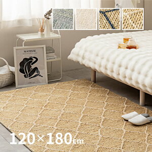 DnhCh̃W[gO gEbJ 120×180cm 1.5  킢 120×180cm  Ch ؍CeA ėpO 