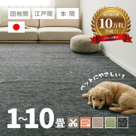 カーペット ペット 敷き詰め ラウム 【1畳・2畳・3畳・4畳・4.5畳・6畳・8畳・10畳】【江戸間・本間・団…