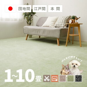 カーペット ペット 敷き詰め ラウム 【1畳・2畳・3畳・4畳・4.5畳・6畳・8畳・10畳】【江戸間・本間・団地間】帖 カットできる タフト 平織り ラグマット おしゃれ ラグ 絨毯 犬 いぬ イヌ 猫