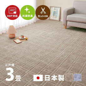 【スパセ★10％クーポン配布中】カーペット 抗菌 シオン2 約176×261cm【江戸間3畳】3帖 カットできる 格子柄 タフトカーペット 平織リ 敷き詰めカーペット ラグマット おしゃれ ラグ 絨毯 北欧 モダン 市松模様 アクセントラグ オールシーズ