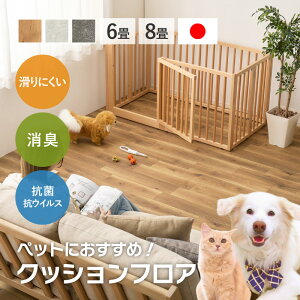 �y15���܂œX��500�~�N�[�|���L�z�y�b�g�Ή� �N�b�V�����t���A ���O �J�[�y�b�g �~�������ȒP �~���l�� �N�b�V�����t���A�y6��/273×352cm�z�y8��/364×352cm�z����ɂ��� �L�Y�ɋ��� ���L �R�� �R