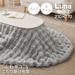 y11/1X11N[|Lzzc rbgt@[^b` iy210×170cmzyȉ~`zR^c|zc n tln | ԂƂ x[W AC{[ O[ 